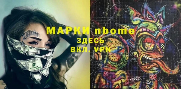 spice Богородицк